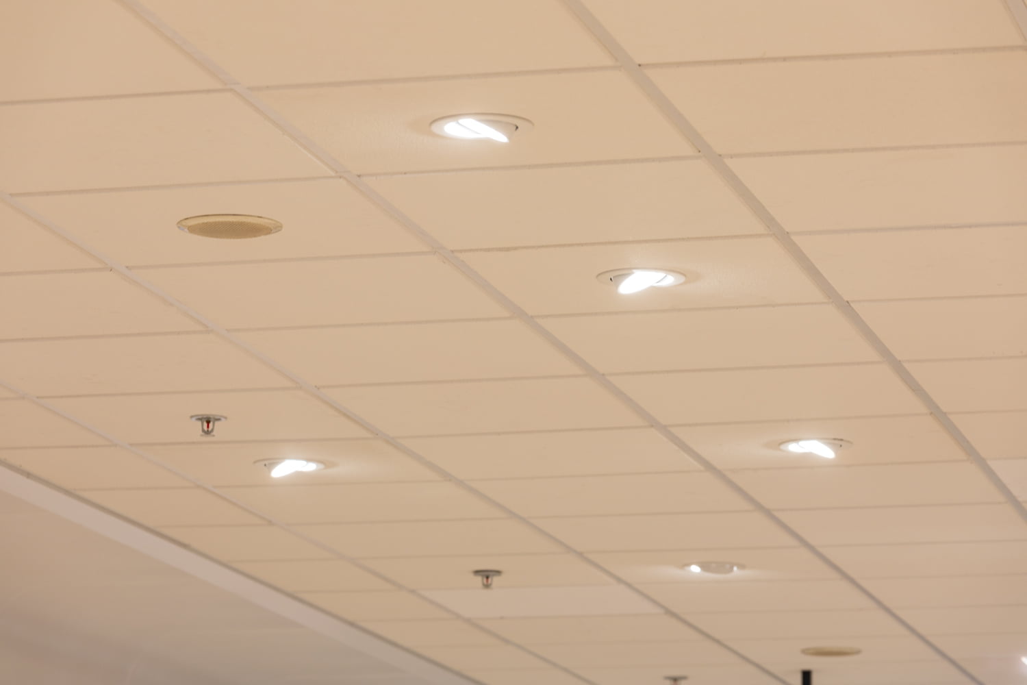 Blokker Muiden Lixero