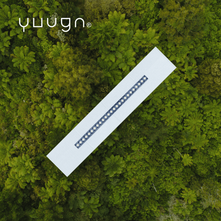 Yuugn Evo